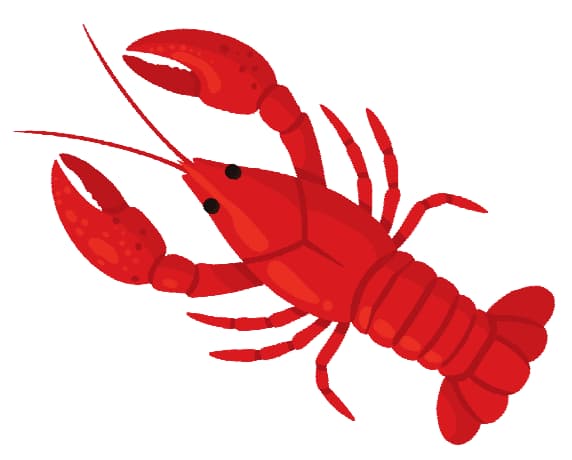Illustration of a red lobster.